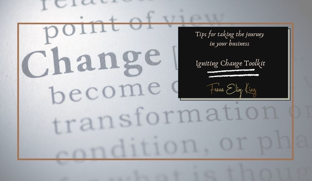 Igniting Change Toolkit for your Business