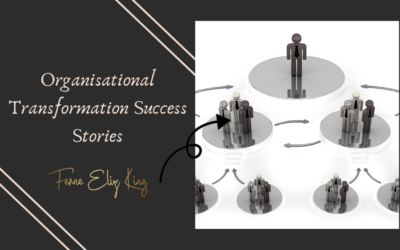 Organisational Transformation Success Stories