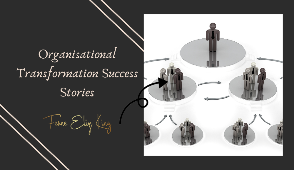 Organisational Transformation Success Stories